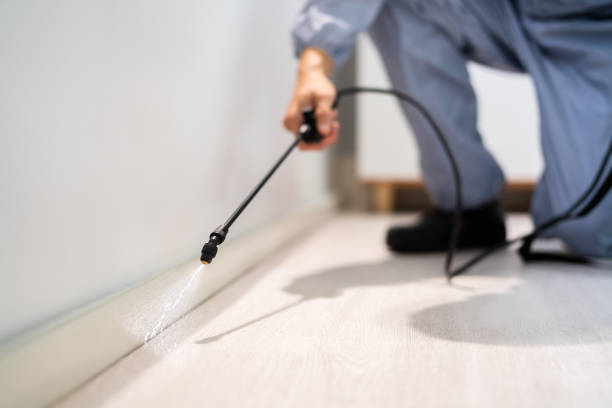 Licensed Fumigation Services service in Titus County County, TX - Nex Pest Control